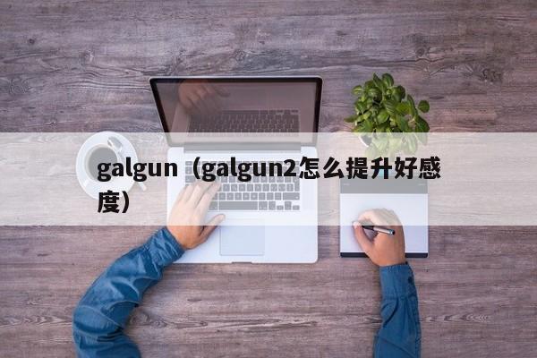 galgun（galgun2怎么提升好感度）